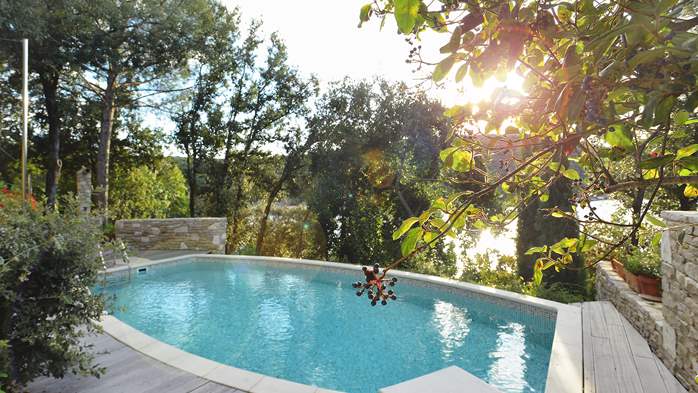 Villa with private pool, summer kitchen with a wood oven and BBQ, 8