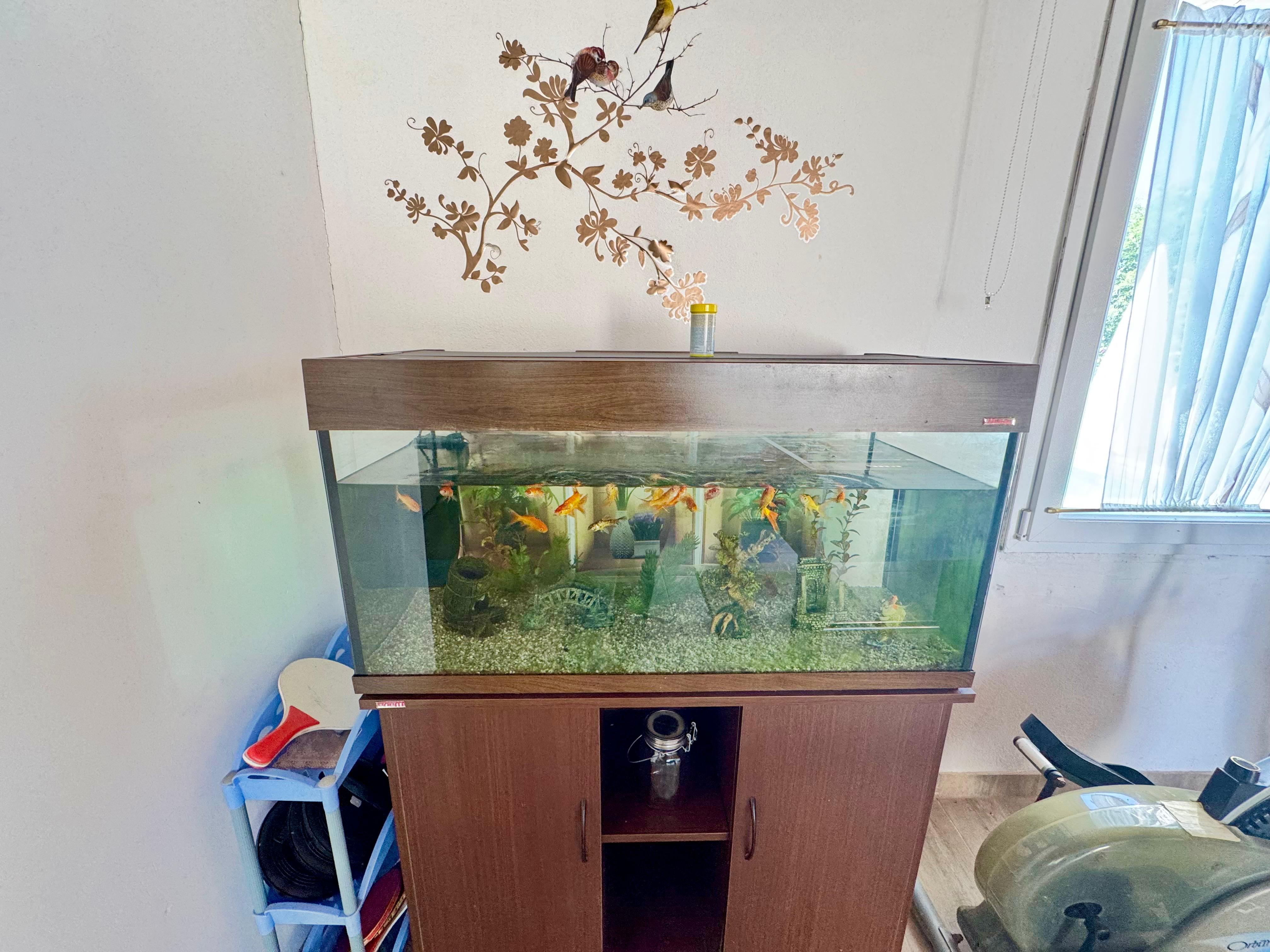 House Barat
