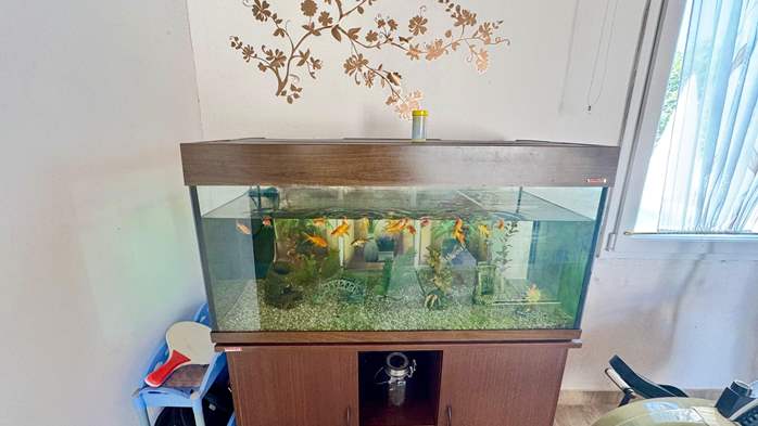Prekrasna seoska oaza s apartmanima na mirnoj lokaciji u Istri, 21