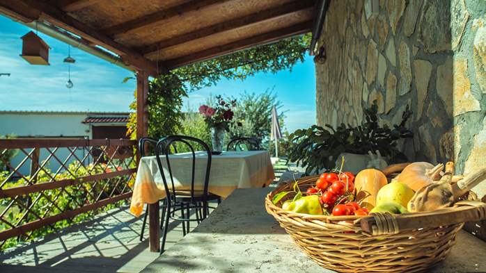 Prekrasna seoska oaza s apartmanima na mirnoj lokaciji u Istri, 34
