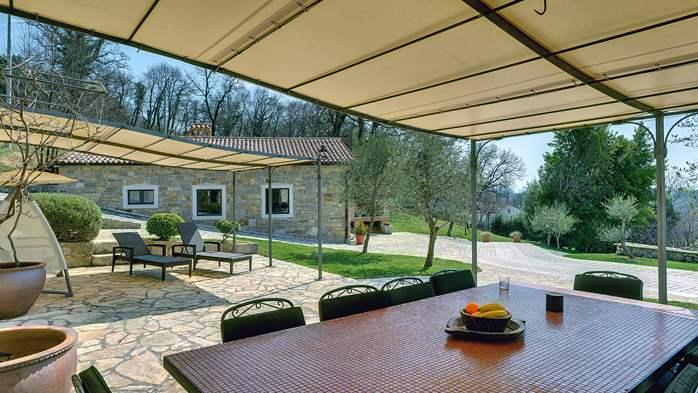 Rustic villa with pool within the borders of the Učka Nature Park, 10