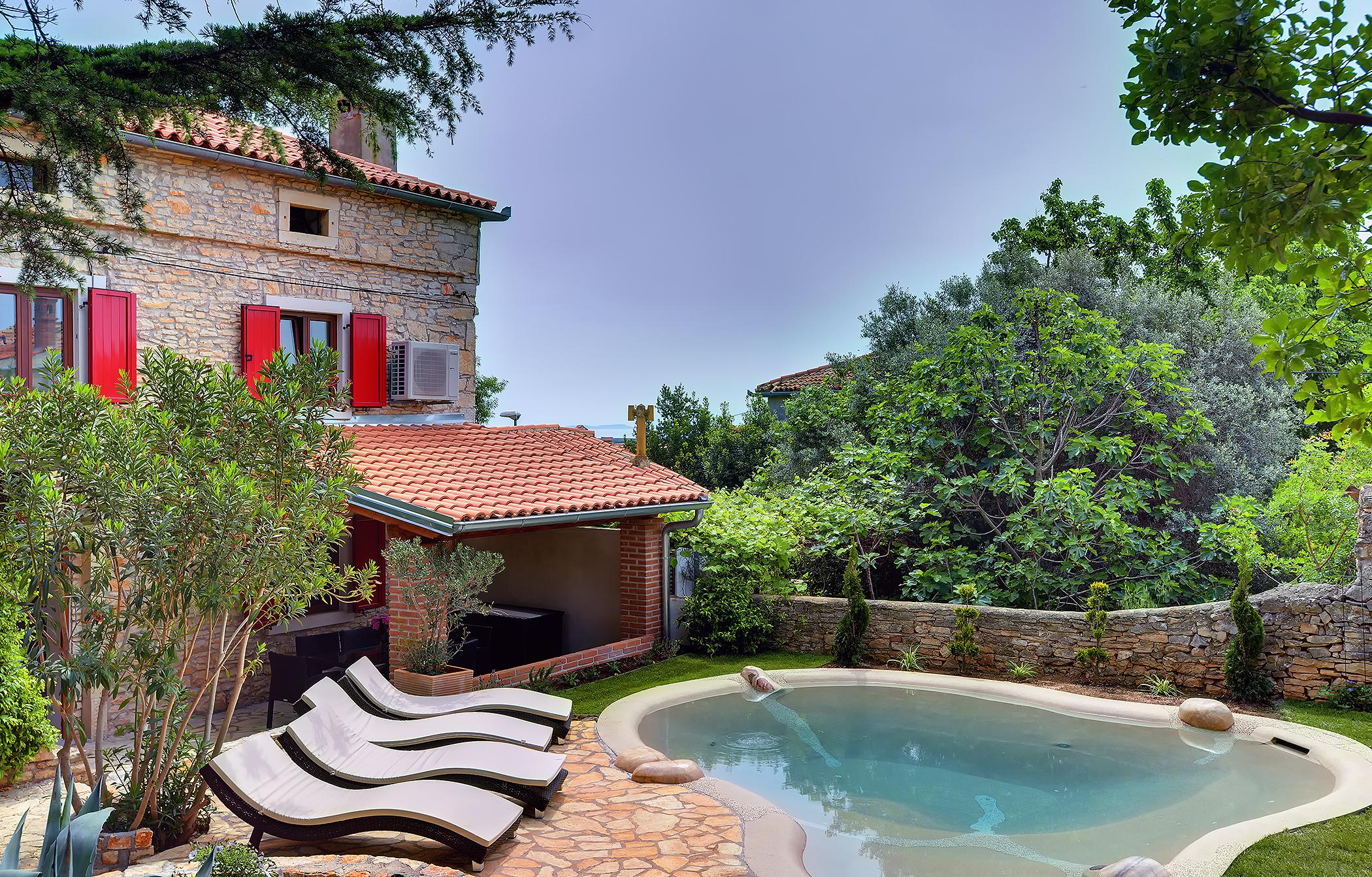 Vila u Ližnjanu s terasom te bazenom s gejzirima i hidromasažom