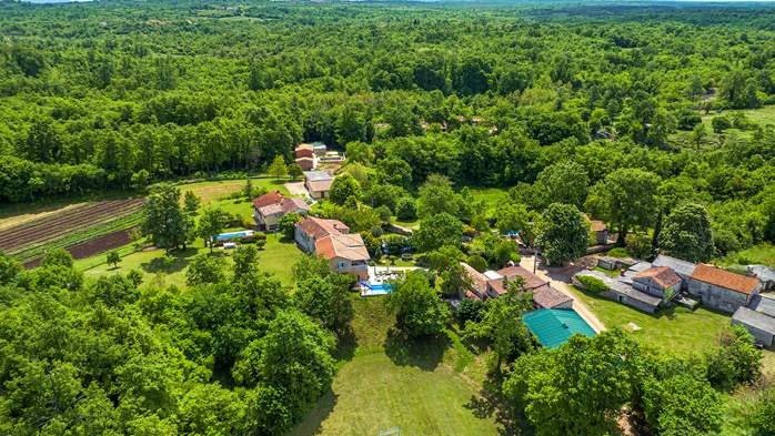 Luxuriös ausgestattete Villa mit Privater Pool neben Žminj, 7