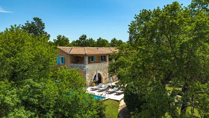 Luxuriously equipped villa with private pool near Žminj, 8