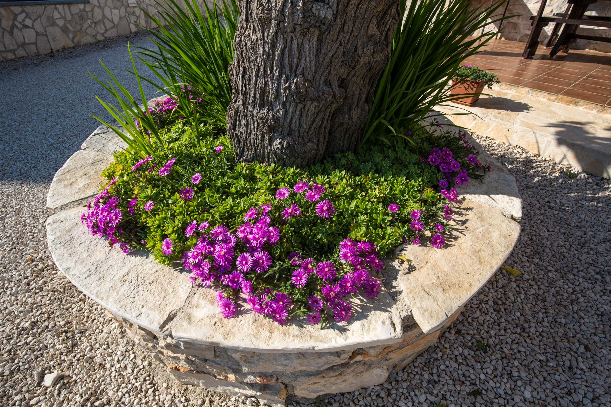 Gemütlich eingerichtetes Haus in Fažana mit mit privatem Pool