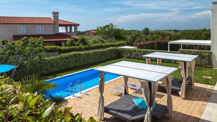 Modern villa with private pool and sun terrace close to Novigrad, 4