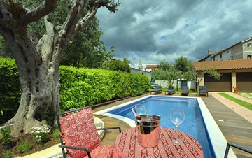 Charming villa with private pool for 8 persons in Šišan, garage