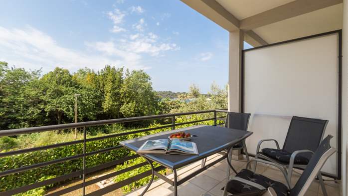 Apartment with 2 bedrooms, balcony, air condition, SAT-TV, WiFi, 12