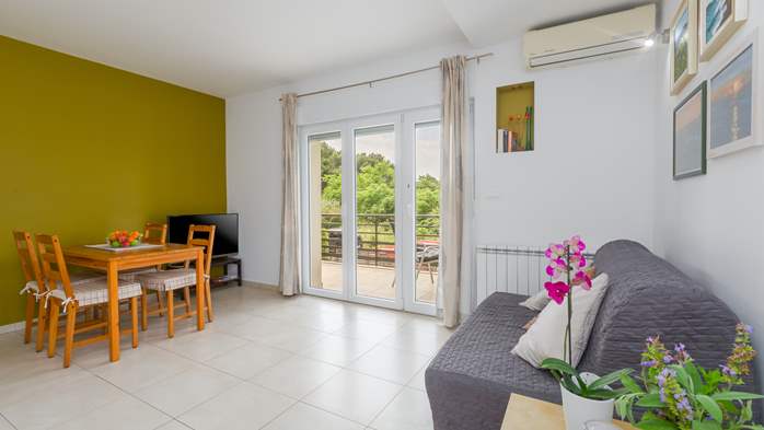 Apartment with 2 bedrooms, balcony, air condition, SAT-TV, WiFi, 2