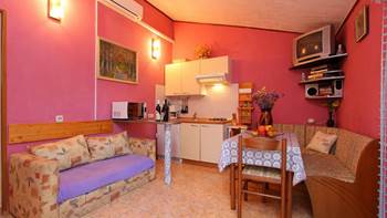 Vivid ground floor apartment for 4 in Medulin, with WiFi and AC, 3