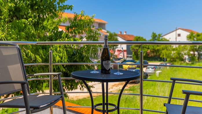 Villa in Ližnjan with 2 pools, fenced garden, SAT-TV and Wi-Fi, 37