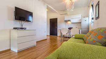 Air conditioned apartment in Štinjan with free WiFi and SAT-TV, 1