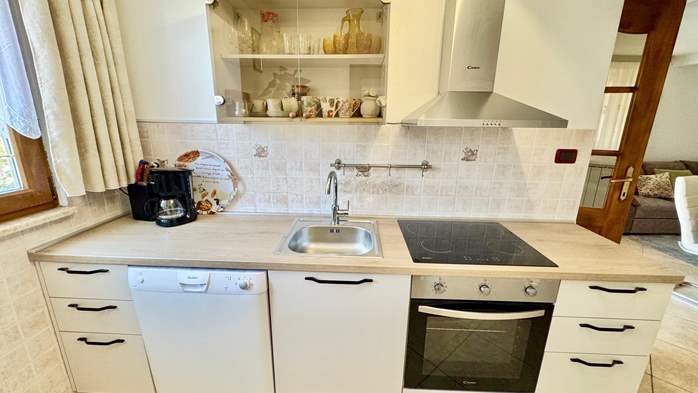 Rustikalno uređen, komforan apartman sa zatvorenom terasom, vrt, 8