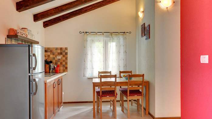 Luxuriously equipped villa with private pool near Žminj, 27