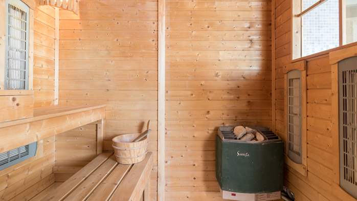 Očaravajuća vila s bazenom, finska sauna, teretana, jacuzzi, WiFi, 59