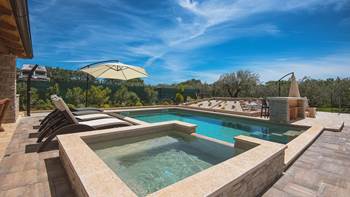 Villa Jela with pool, terrace and beautifully landscaped garden, 3