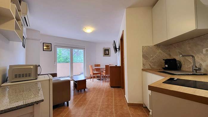 Apartment mit einem Schlafzimmer, WLAN, Klimaanlage, 2