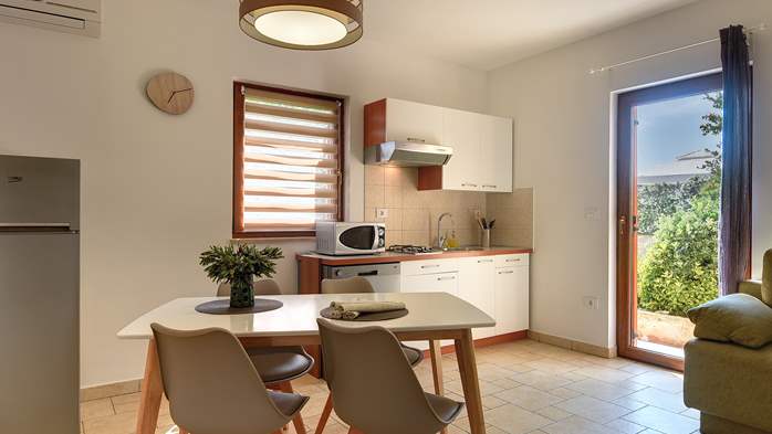 Spacious apartment with 2 kitchens and 3 bedrooms, 1