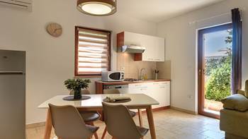 Spacious apartment with 2 kitchens and 3 bedrooms, 1