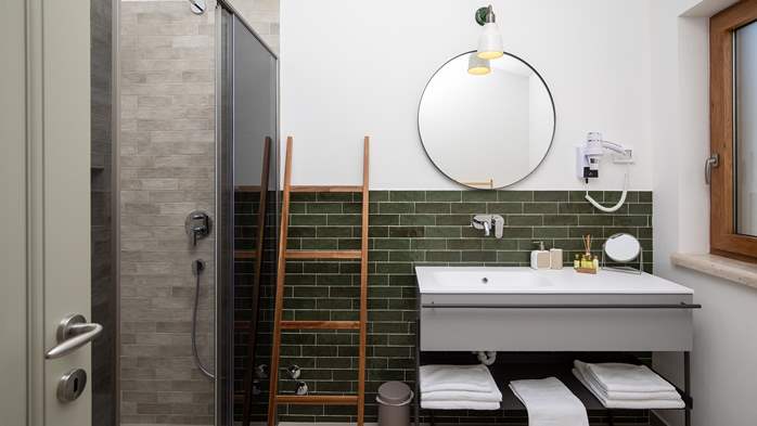 Stone villa with swimming pool and olive grove in the quit area, 45