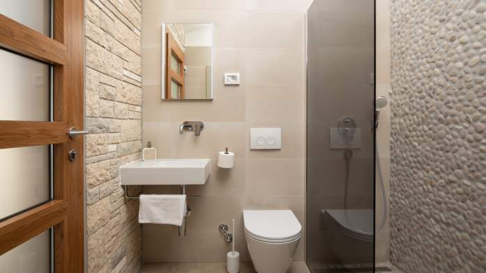 Stone villa with swimming pool and olive grove in the quit area, 65