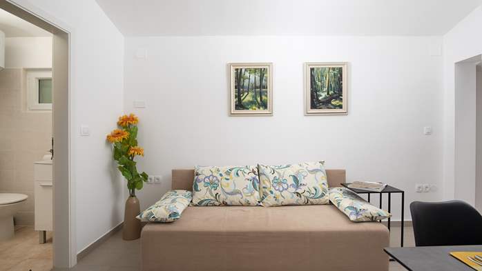 Villa Cvita in Šišan with private pool and summer kitchen, 45