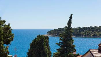 Two bedroom apartment in Pula with magnificent sea view, 2