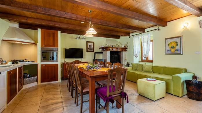 Istrian villa with private pool, playground for kids and barbecue, 28