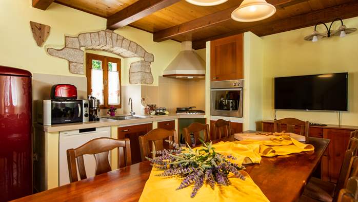Istrian villa with private pool, playground for kids and barbecue, 32
