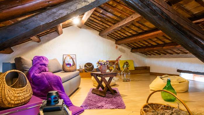 Istrian villa with private pool, playground for kids and barbecue, 44