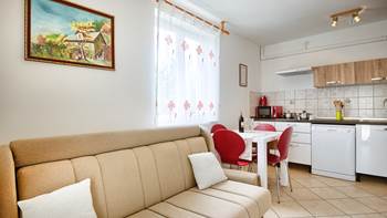 Air conditioned apartment in Premantura, Internet, SAT-TV,terrace, 1
