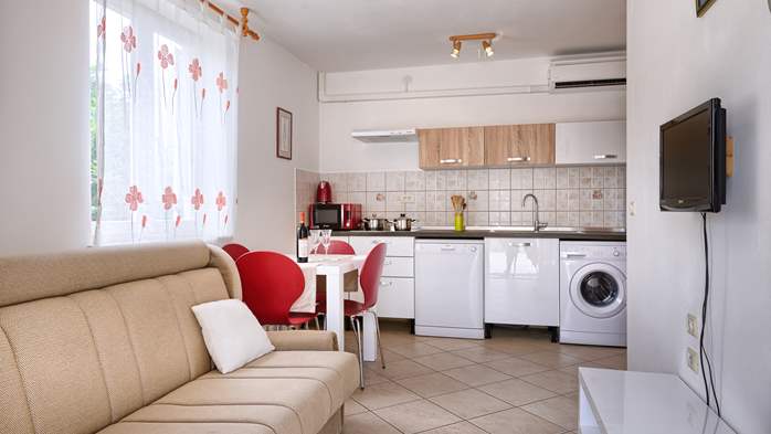 Air conditioned apartment in Premantura, Internet, SAT-TV,terrace, 5